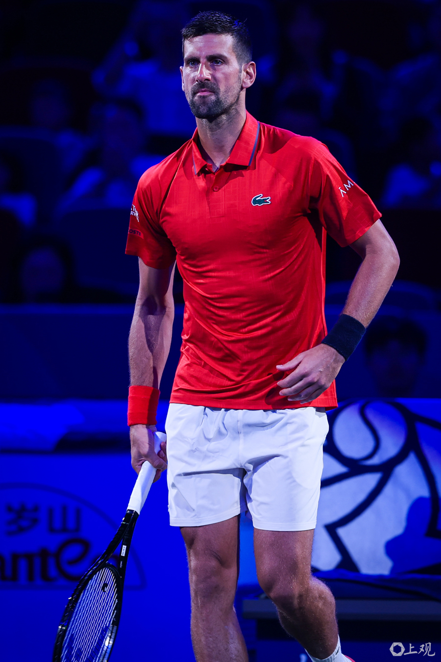 美网绝杀蒙特卡洛大师赛,德约科维奇高光表现 美网绝杀蒙特卡洛大师赛,德约科维奇高光表现